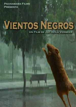 Vientos Negros