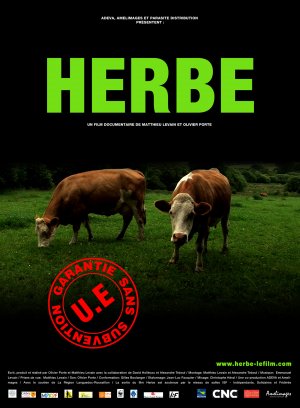 Herbe