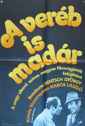 A veréb is madár