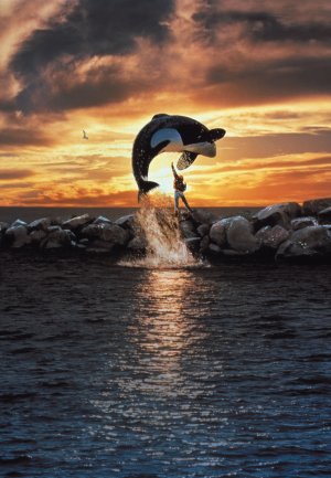 Free Willy