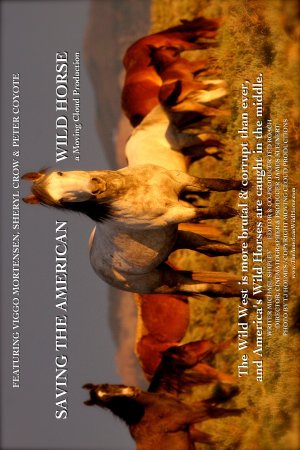 Saving the American Wild Horse