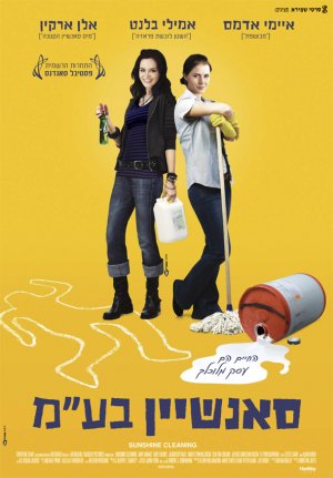 Sunshine Cleaning
