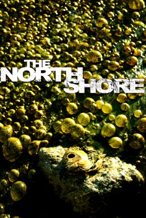 The North Shore