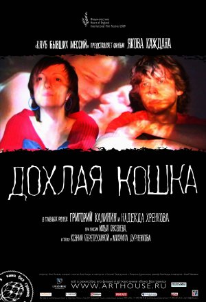 Dokhlaya koshka