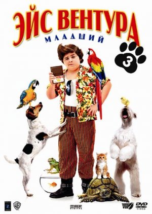 DVD