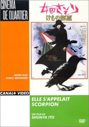 DVD