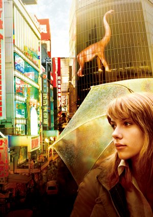 Lost in Translation