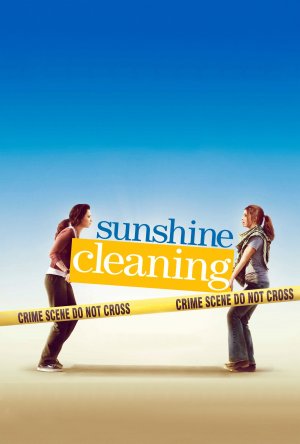 Sunshine Cleaning