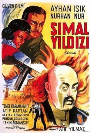 Simal yildizi