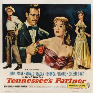 Tennessee's Partner