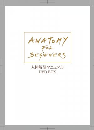Anatomy for Beginners