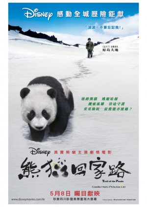 Xiong mao hui jia lu