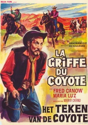 Il segno del coyote