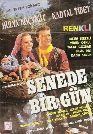 Senede bir gün