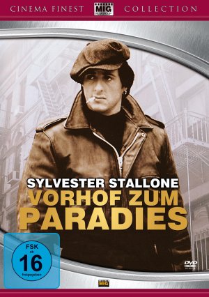 DVD