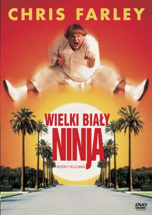 Beverly Hills Ninja