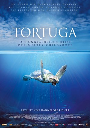 Turtle: The Incredible Journey
