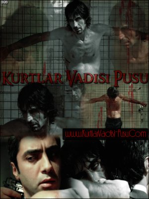 Kurtlar Vadisi: Pusu