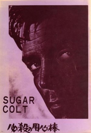 Sugar Colt
