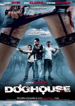 DVD