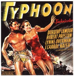 Typhoon