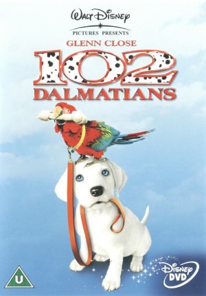 DVD