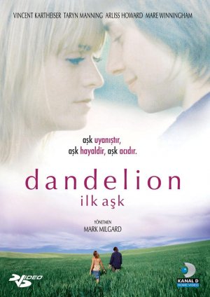 Dandelion