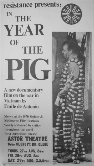 In the Year of the Pig