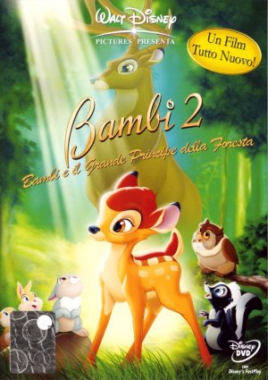 DVD