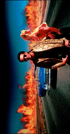 Wild at Heart