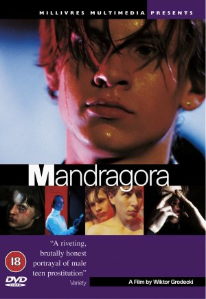Mandragora