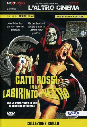 DVD