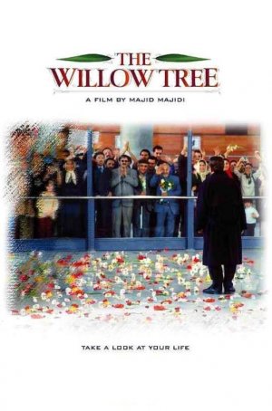 The Willow Tree