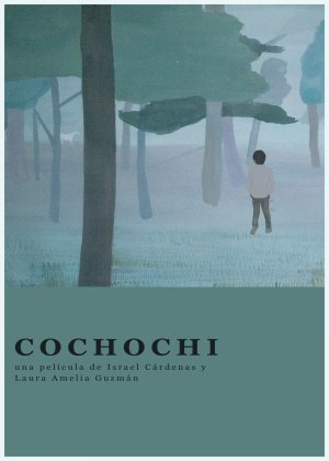 Cochochi