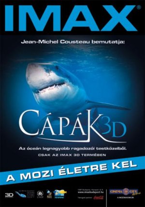 Sharks 3D