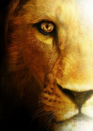 The Chronicles of Narnia: The Voyage of the Dawn Treader