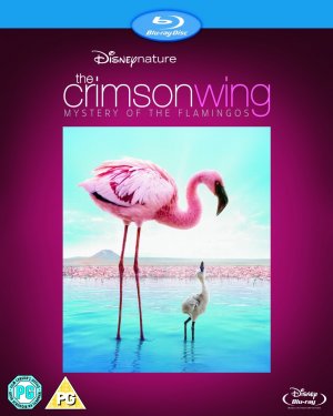 Blu-Ray