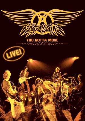Aerosmith: You Gotta Move