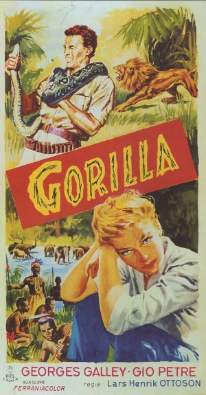 Gorilla