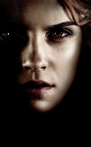 Harry Potter and the Deathly Hallows - Part 1