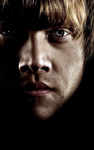 Harry Potter and the Deathly Hallows - Part 1