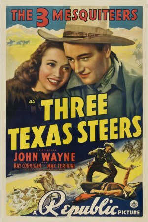Three Texas Steers