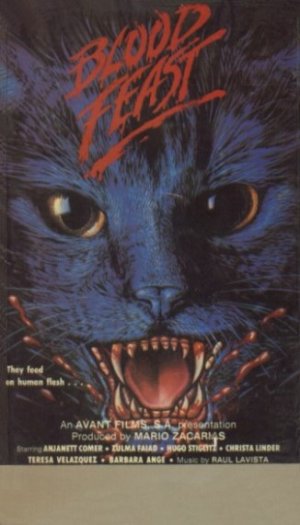 La noche de los mil gatos
