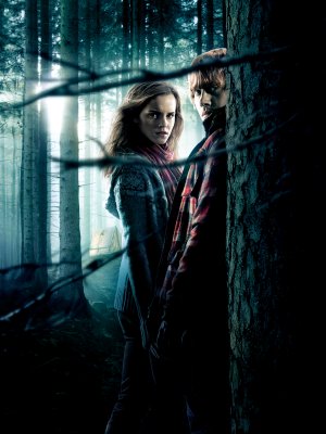 Harry Potter and the Deathly Hallows - Part 1