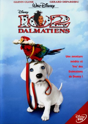 DVD