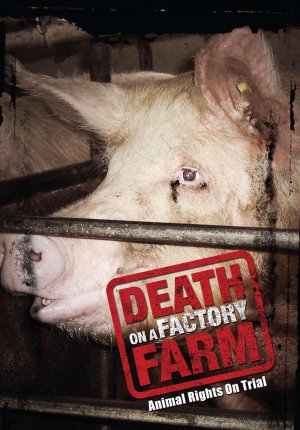 Death on a Factory Farm