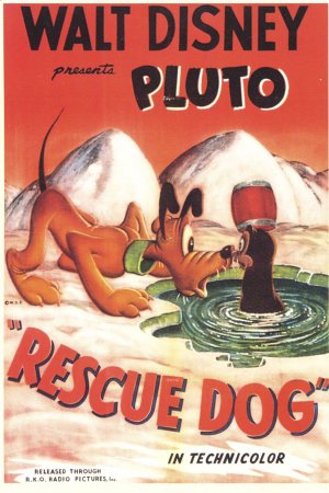 Rescue Dog