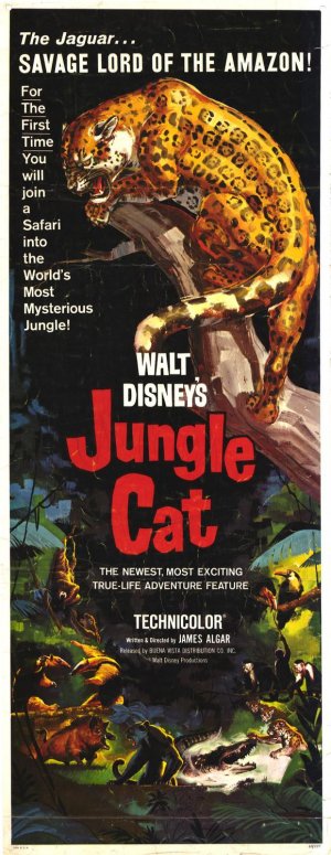Jungle Cat