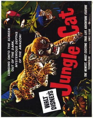 Jungle Cat