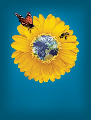 Pollen